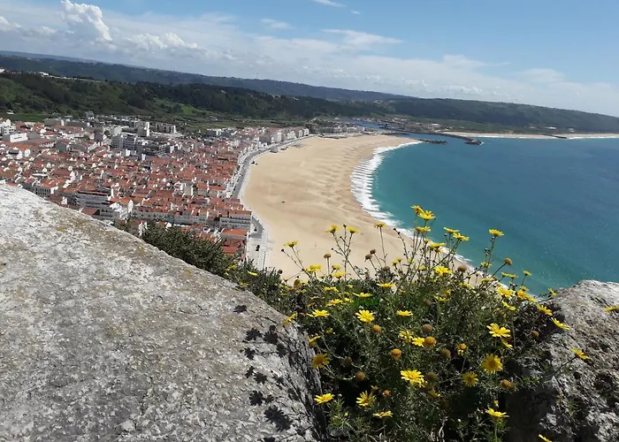 Aconchego Local Назаре